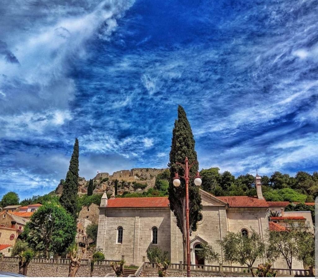 Villa Eximia Novigrad Novigrad  Exterior foto