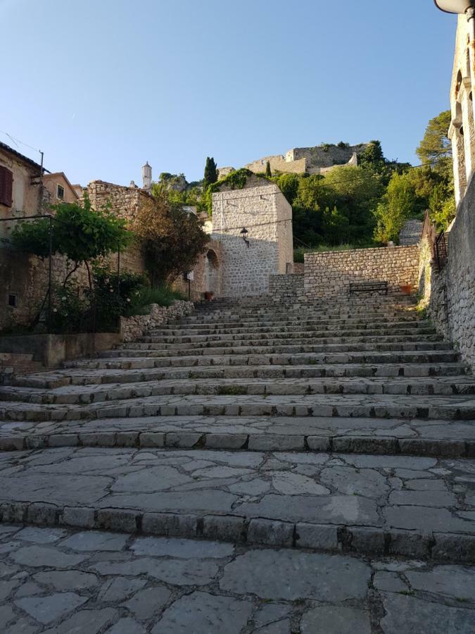 Villa Eximia Novigrad Novigrad  Exterior foto